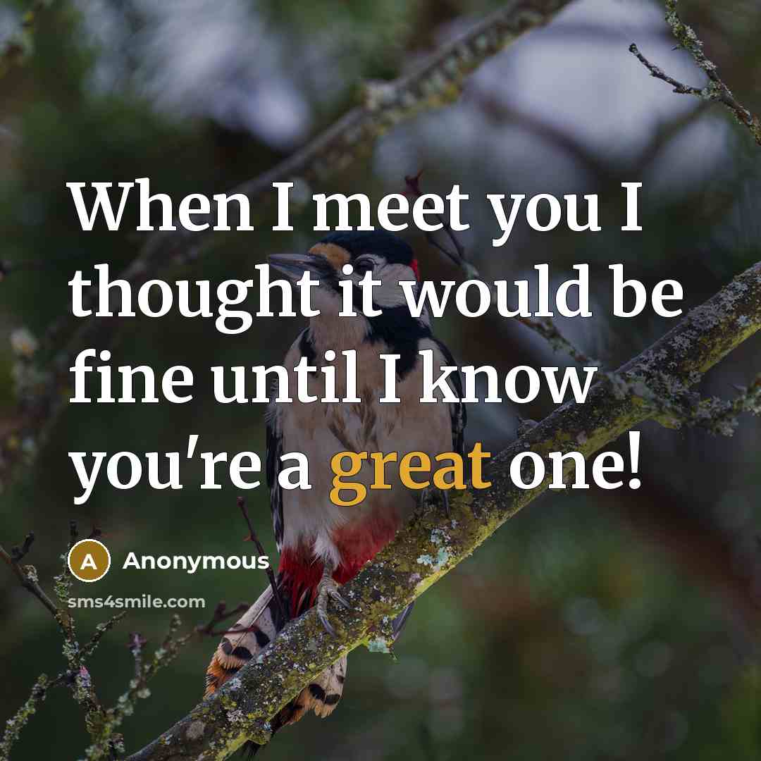 “When I meet you I thought it would be fine until I know you're a great one!” quote by Anonymous