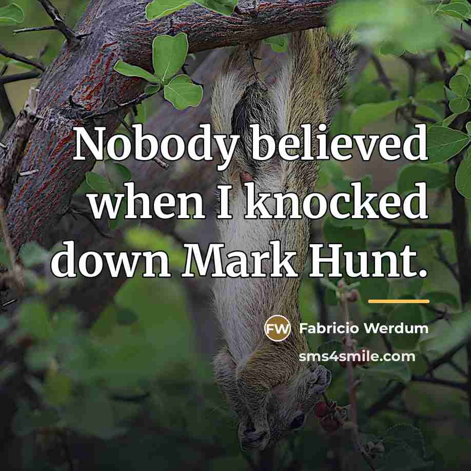 “Nobody believed when I knocked down Mark Hunt.…” quote by Fabricio Werdum