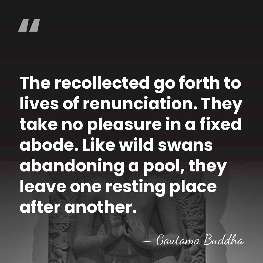 The recollected go forth to lives of renunciation. They take no pleasure&hellip; - Gautama Buddha