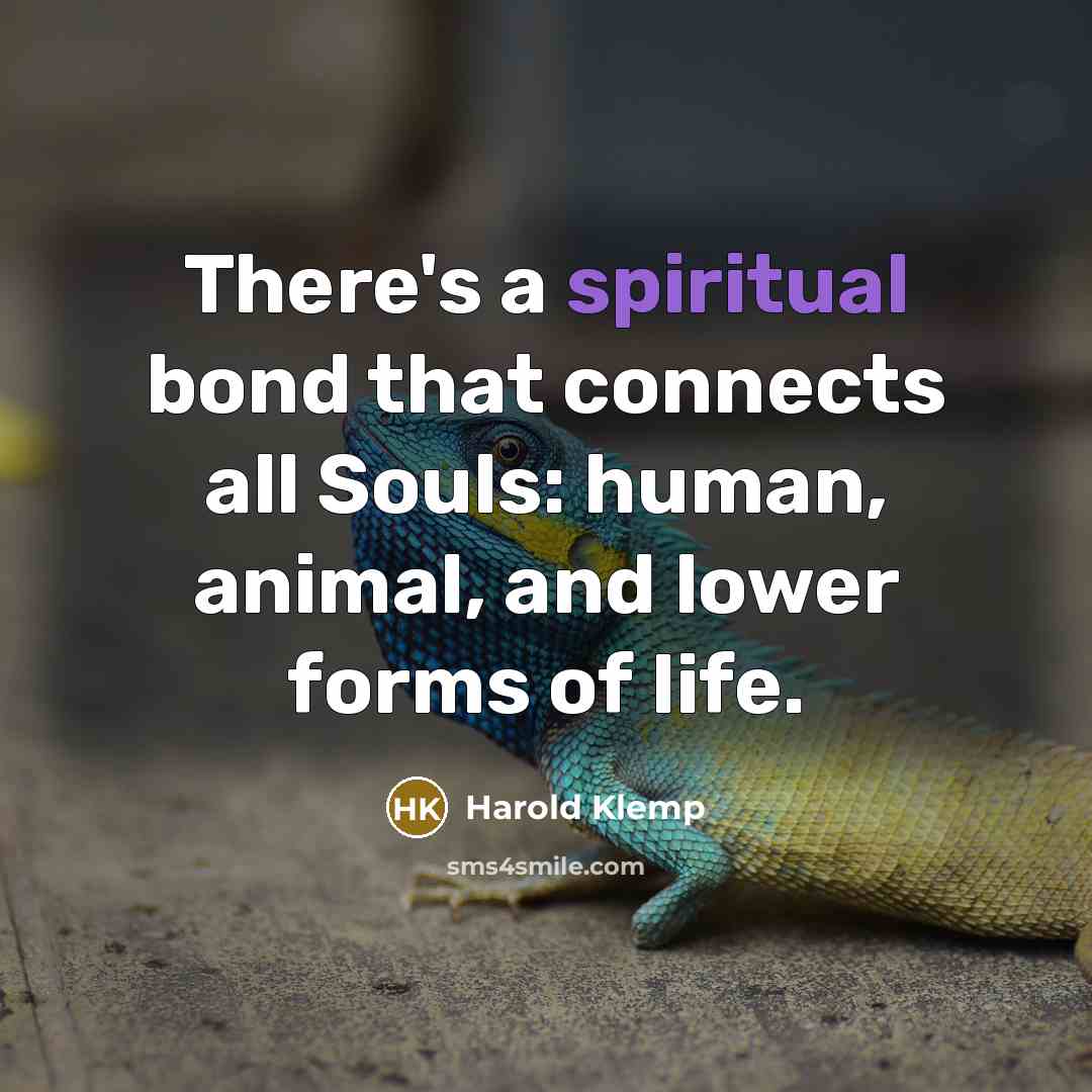 “There's a spiritual bond that connects all Souls: human, animal,…” quote by Harold Klemp