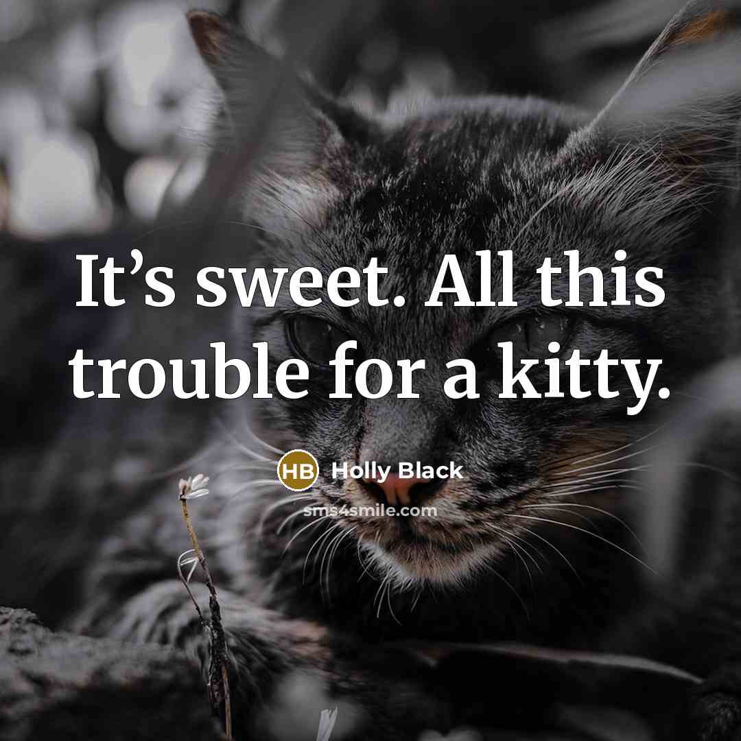 “It’s sweet. All this trouble for a kitty.…” quote by Holly Black