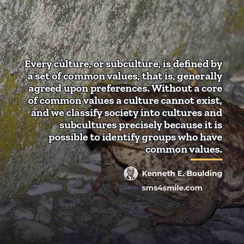 “Every culture, or subculture, is defined by a set of…” quote by Kenneth E. Boulding