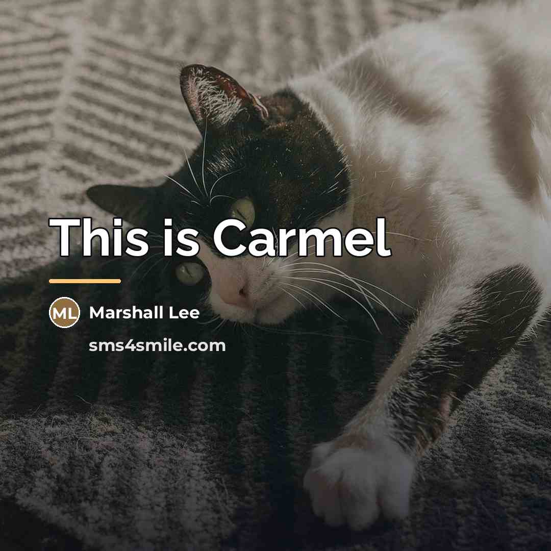 “This is Carmel…” quote by Marshall Lee