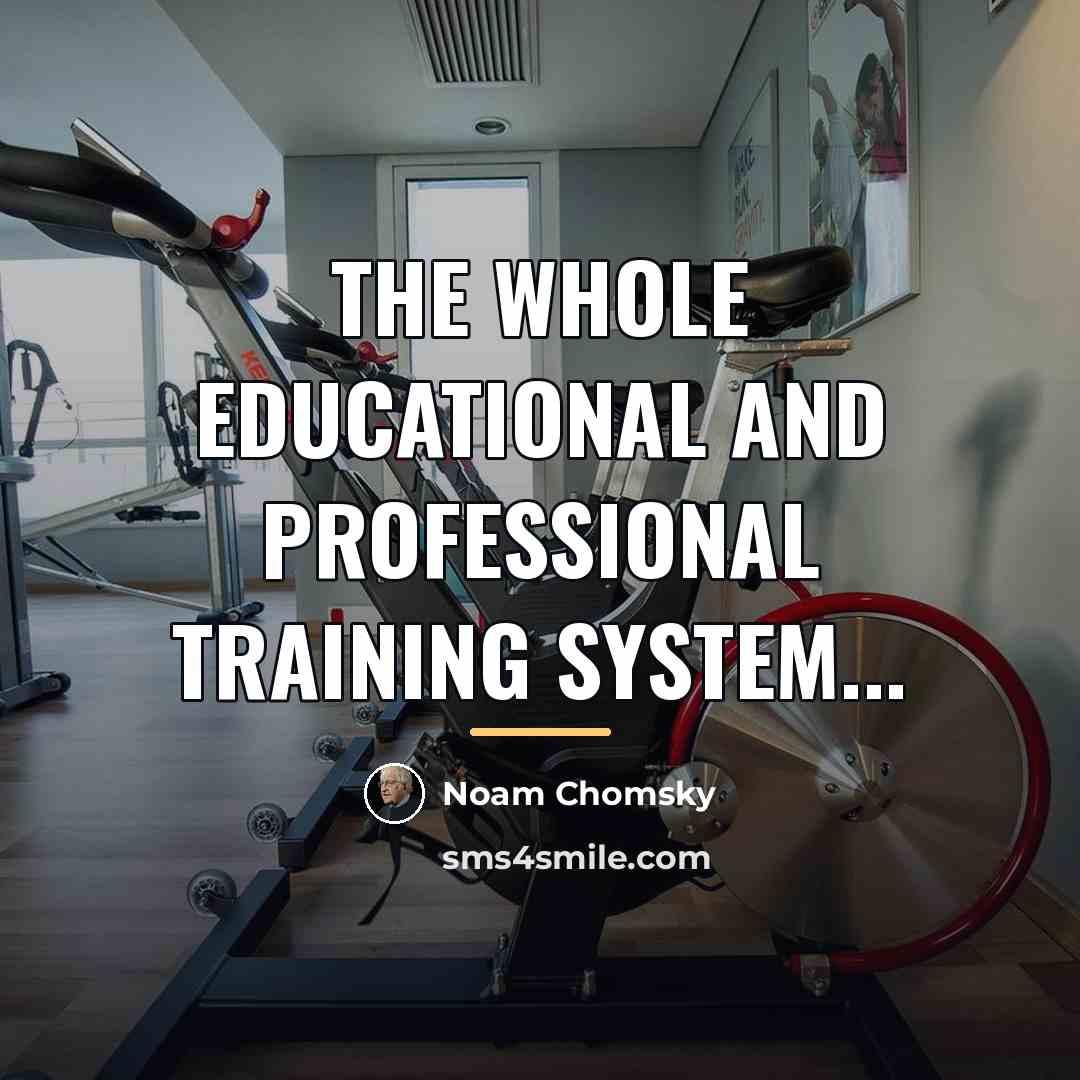 “The whole educational and professional training system...…” quote by Noam Chomsky