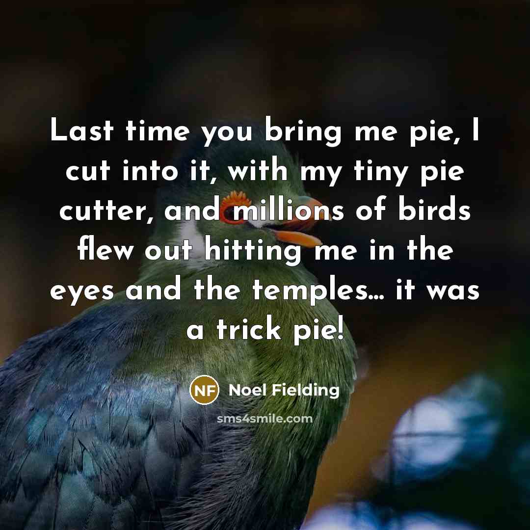 “Last time you bring me pie, I cut into it,…” quote by Noel Fielding