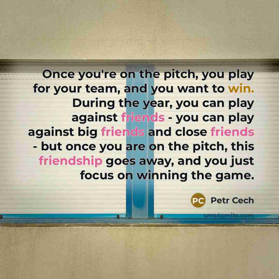 “Once you're on the pitch, you play for your team,…” quote by Petr Cech