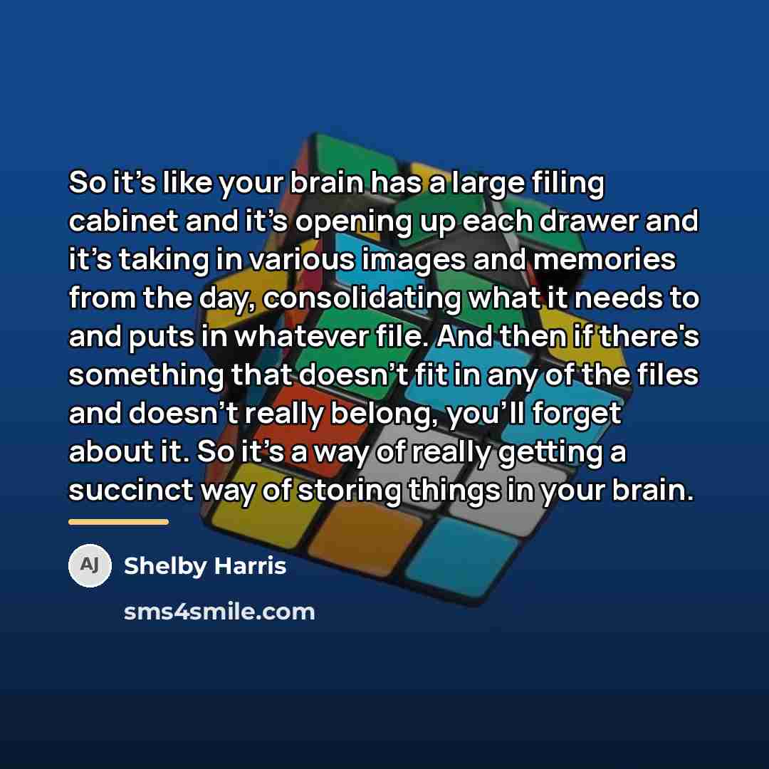 “So it's like your brain has a large filing cabinet…” quote by Shelby Harris