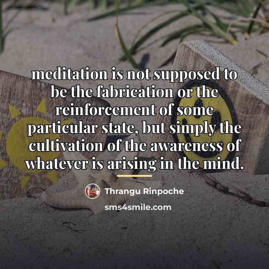 “meditation is not supposed to be the fabrication or the…” quote by Thrangu Rinpoche