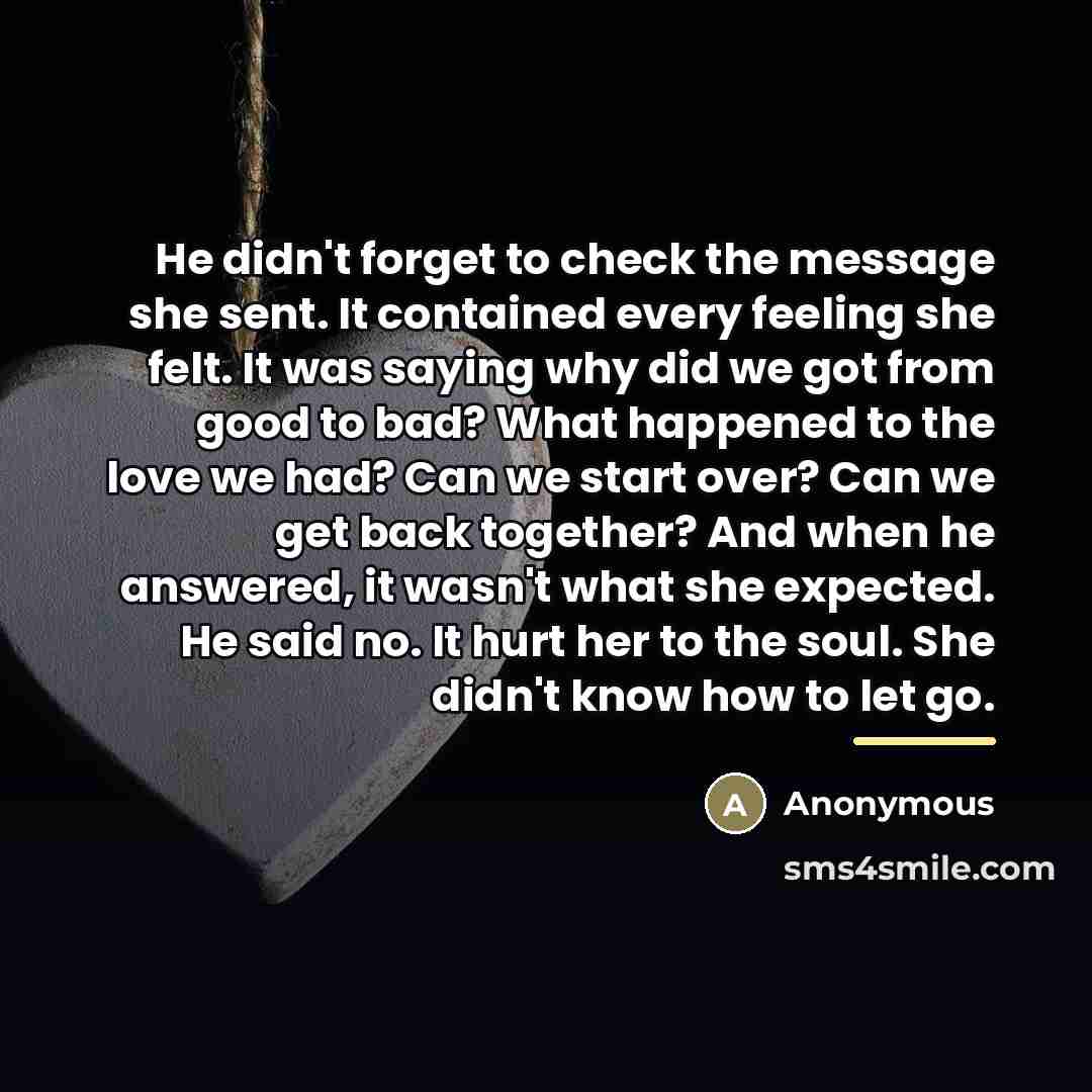 “He didn't forget to check the message she sent. It…” quote by Anonymous