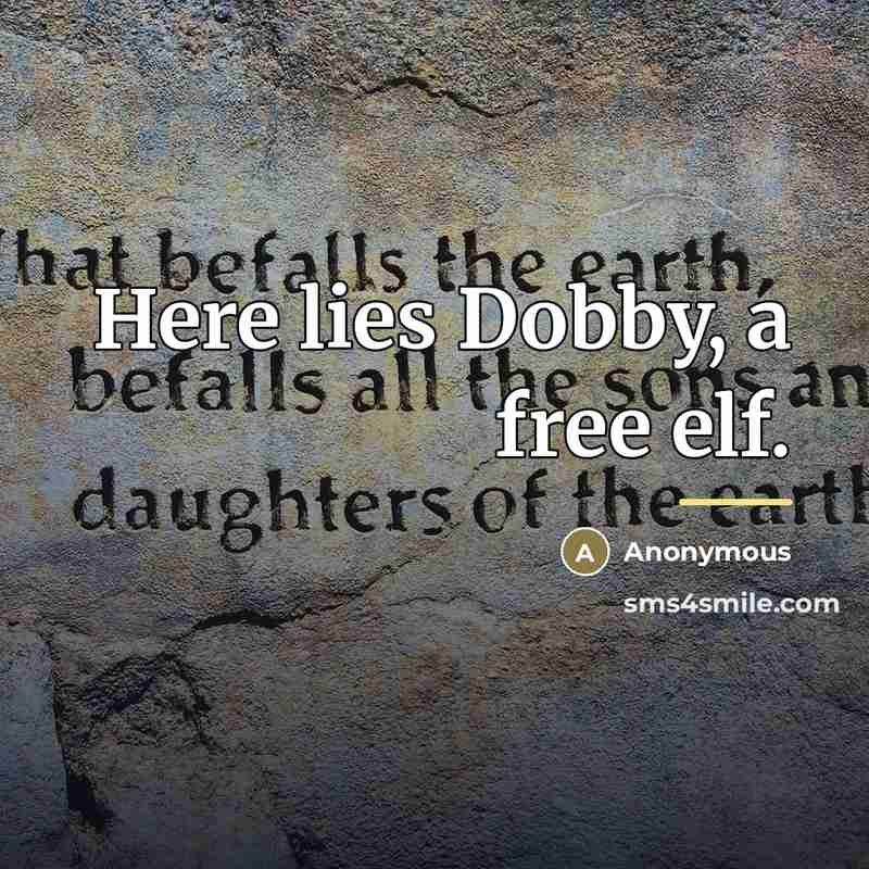 “Here lies Dobby, a free elf.…” quote by Anonymous