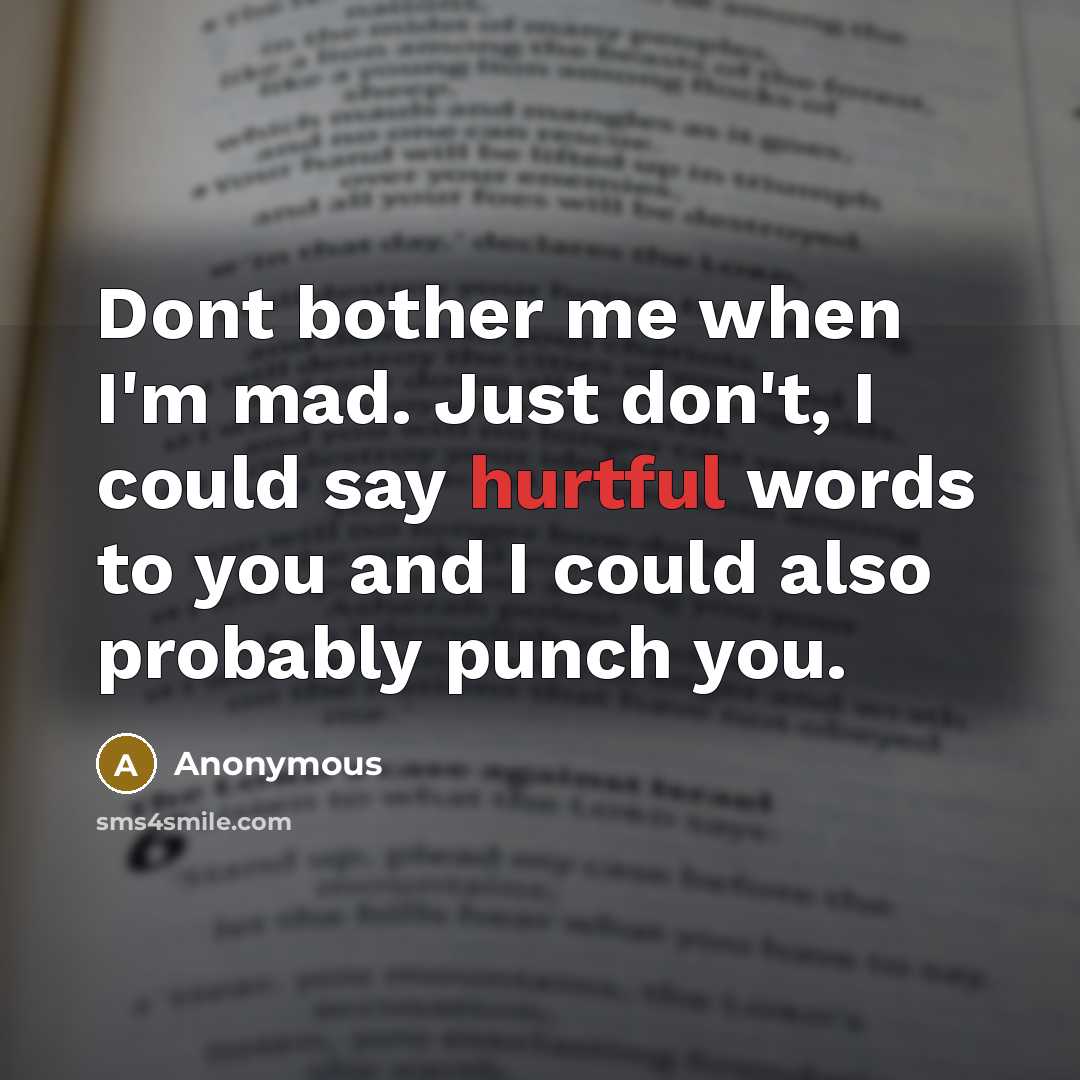 “Dont bother me when I'm mad. Just don't, I could say hurtful words to you and I could also probably punch you.” quote by Anonymous