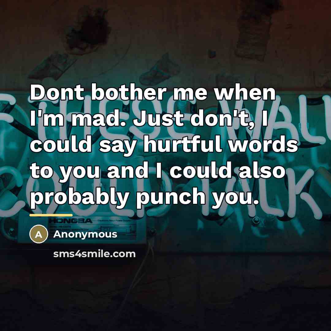 “Dont bother me when I'm mad. Just don't, I could…” quote by Anonymous