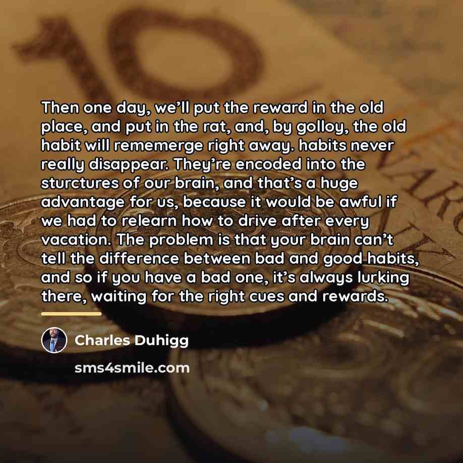 “Then one day, we’ll put the reward in the old…” quote by Charles Duhigg