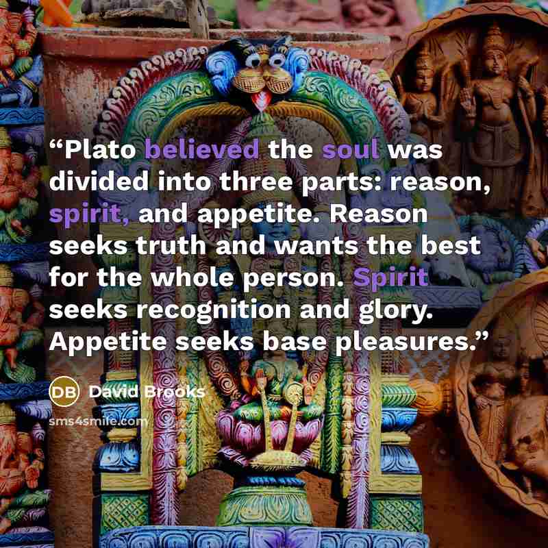 “Plato believed the soul was divided into three parts: reason, spirit, and appetite. Reason seeks truth and wants the best for the whole person. Spirit seeks recognition and glory. Appetite seeks base pleasures.” quote by David Brooks