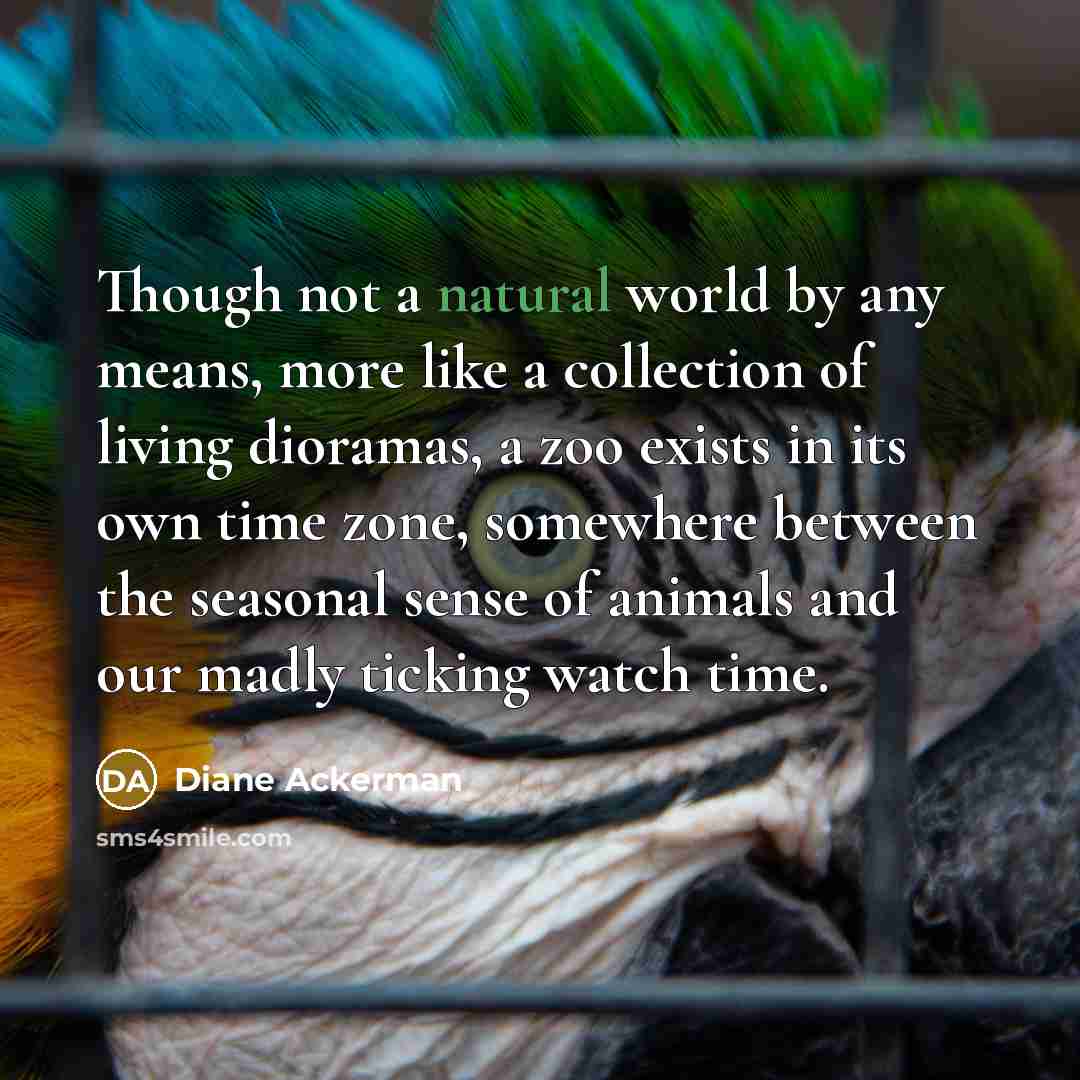 “Though not a natural world by any means, more like…” quote by Diane Ackerman