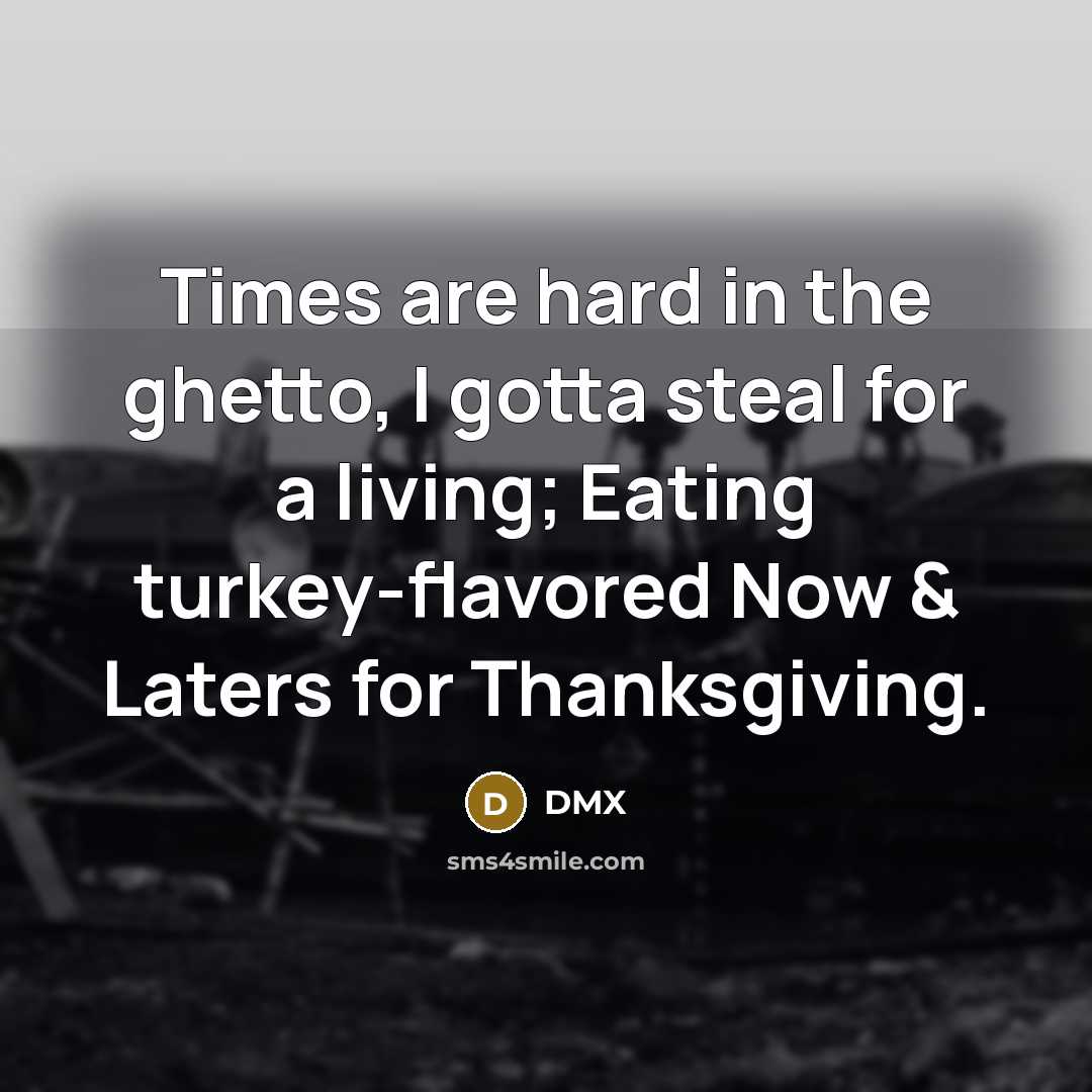 “Times are hard in the ghetto, I gotta steal for…” quote by DMX