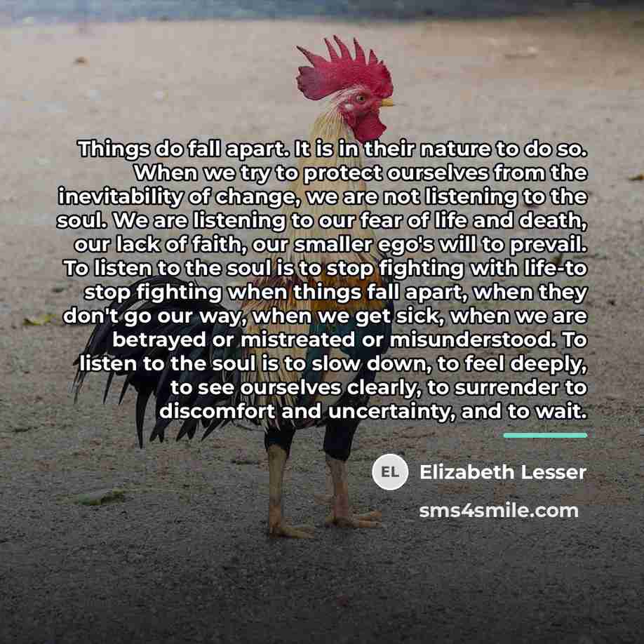 “Things do fall apart. It is in their nature to…” quote by Elizabeth Lesser