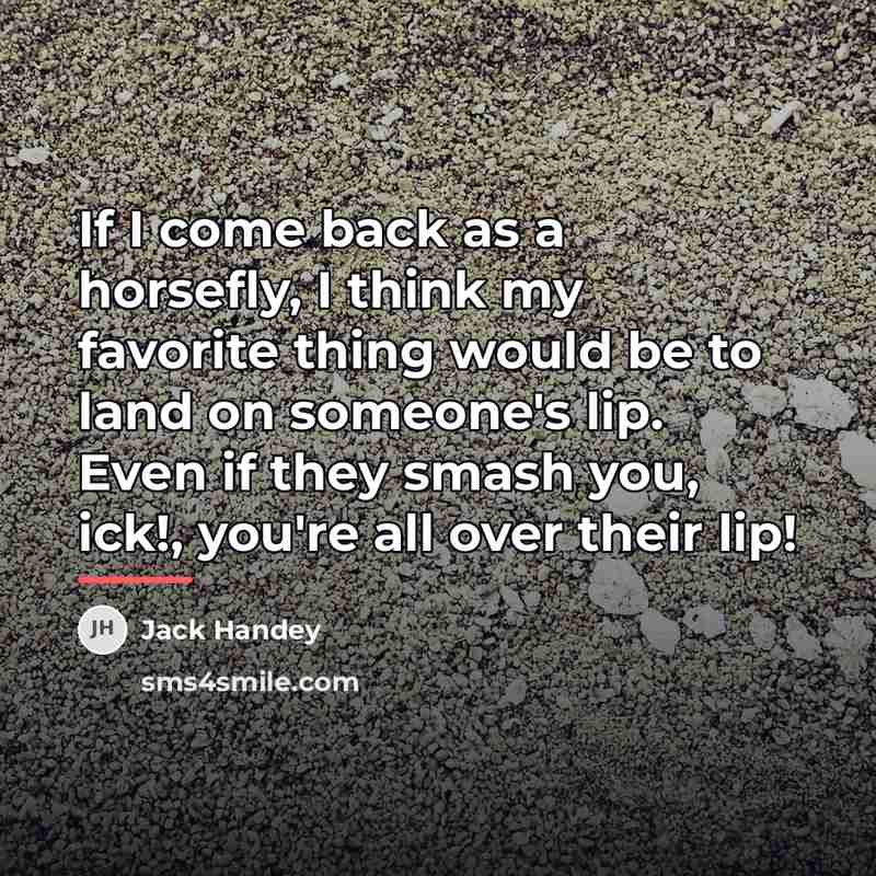 “If I come back as a horsefly, I think my…” quote by Jack Handey
