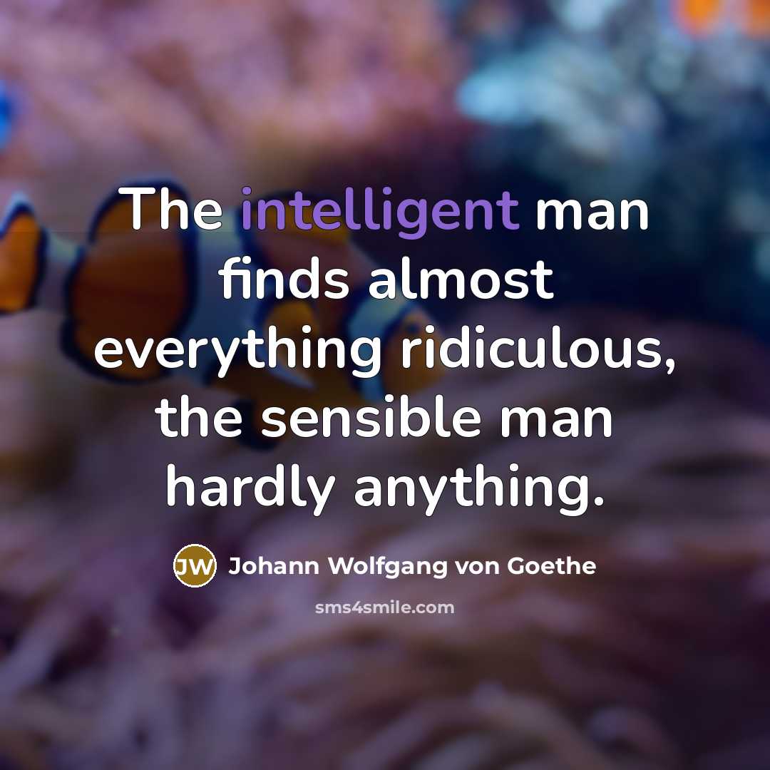 “The intelligent man finds almost everything ridiculous, the sensible man…” quote by Johann Wolfgang von Goethe