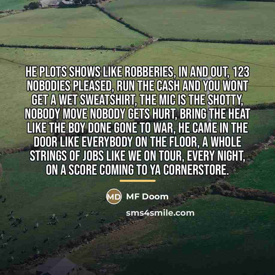 “He plots shows like robberies, in and out, 123 nobodies…” quote by MF Doom