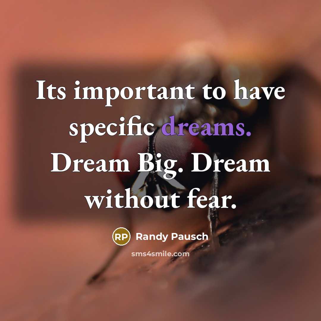 “Its important to have specific dreams. Dream Big. Dream without…” quote by Randy Pausch