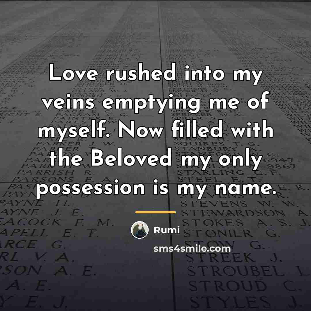 “Love rushed into my veins emptying me of myself. Now…” quote by Rumi