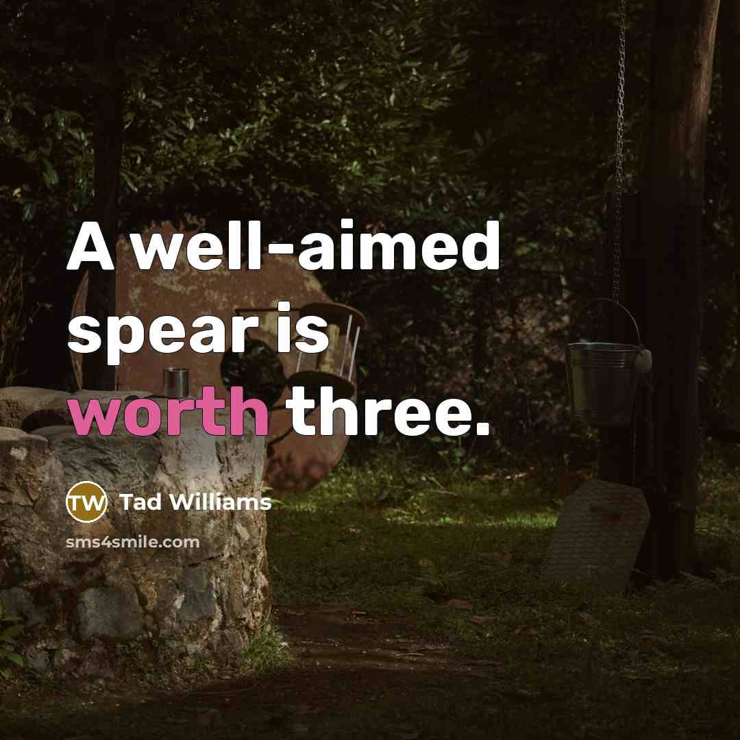 “A well-aimed spear is worth three.” quote by Tad Williams