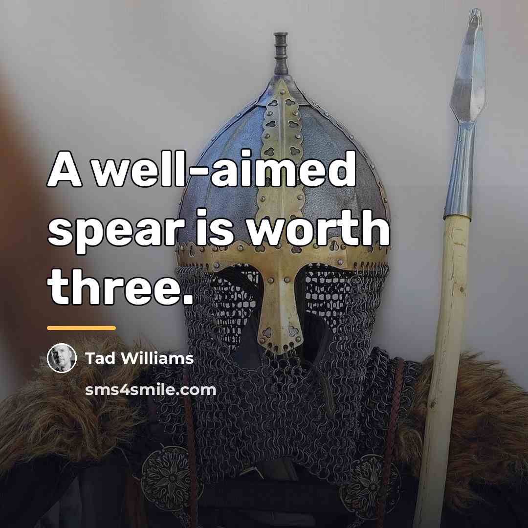 “A well-aimed spear is worth three.…” quote by Tad Williams