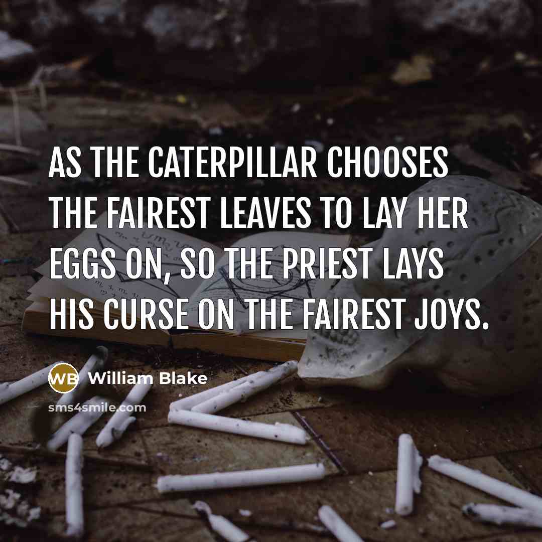 “As the caterpillar chooses the fairest leaves to lay her…” quote by William Blake