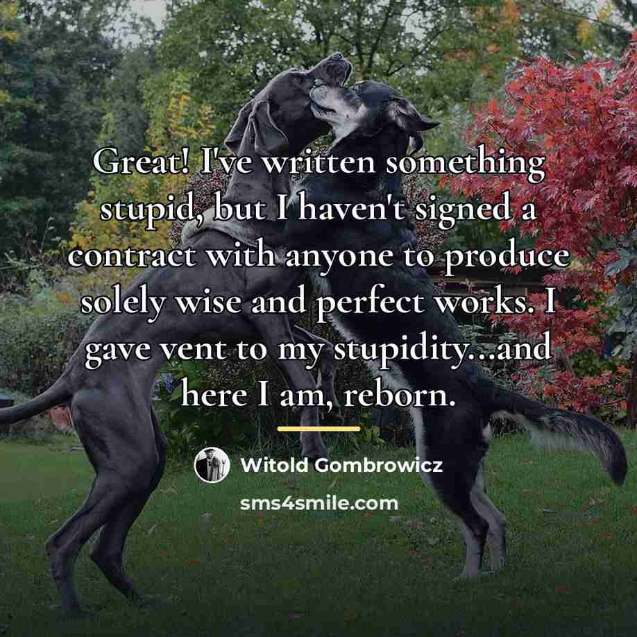 “Great! I've written something stupid, but I haven't signed a…” quote by Witold Gombrowicz