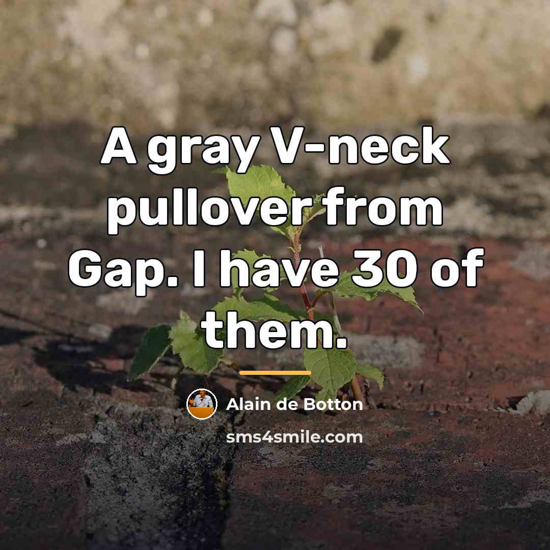 “A gray V-neck pullover from Gap. I have 30 of…” quote by Alain de Botton