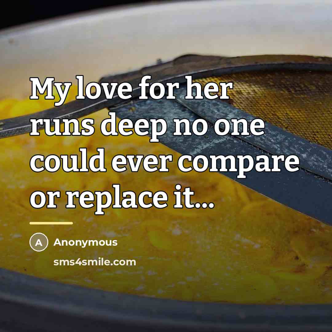“My love for her runs deep no one could ever…” quote by Anonymous