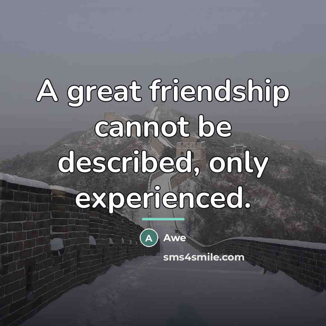 “A great friendship cannot be described, only experienced.…” quote by Awe