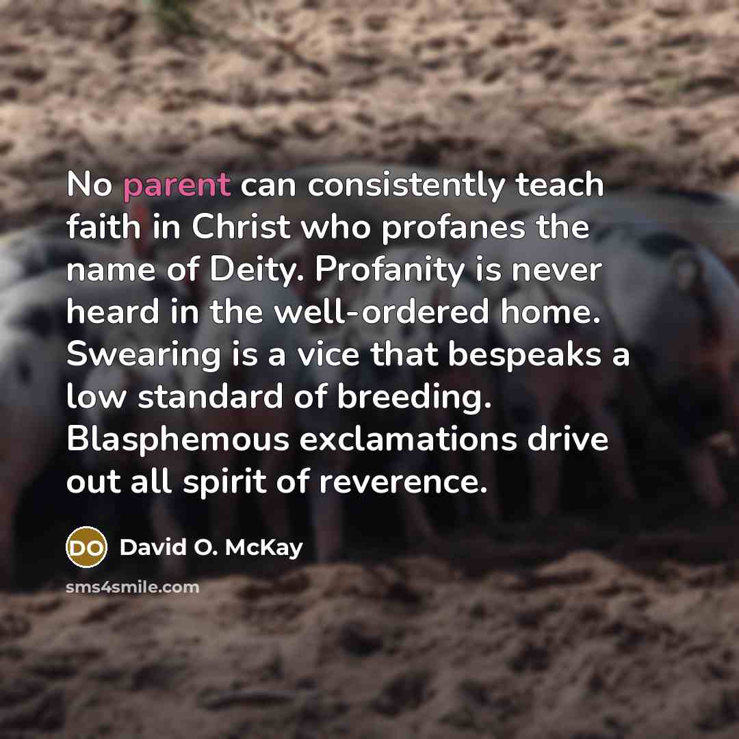 “No parent can consistently teach faith in Christ who profanes…” quote by David O. McKay