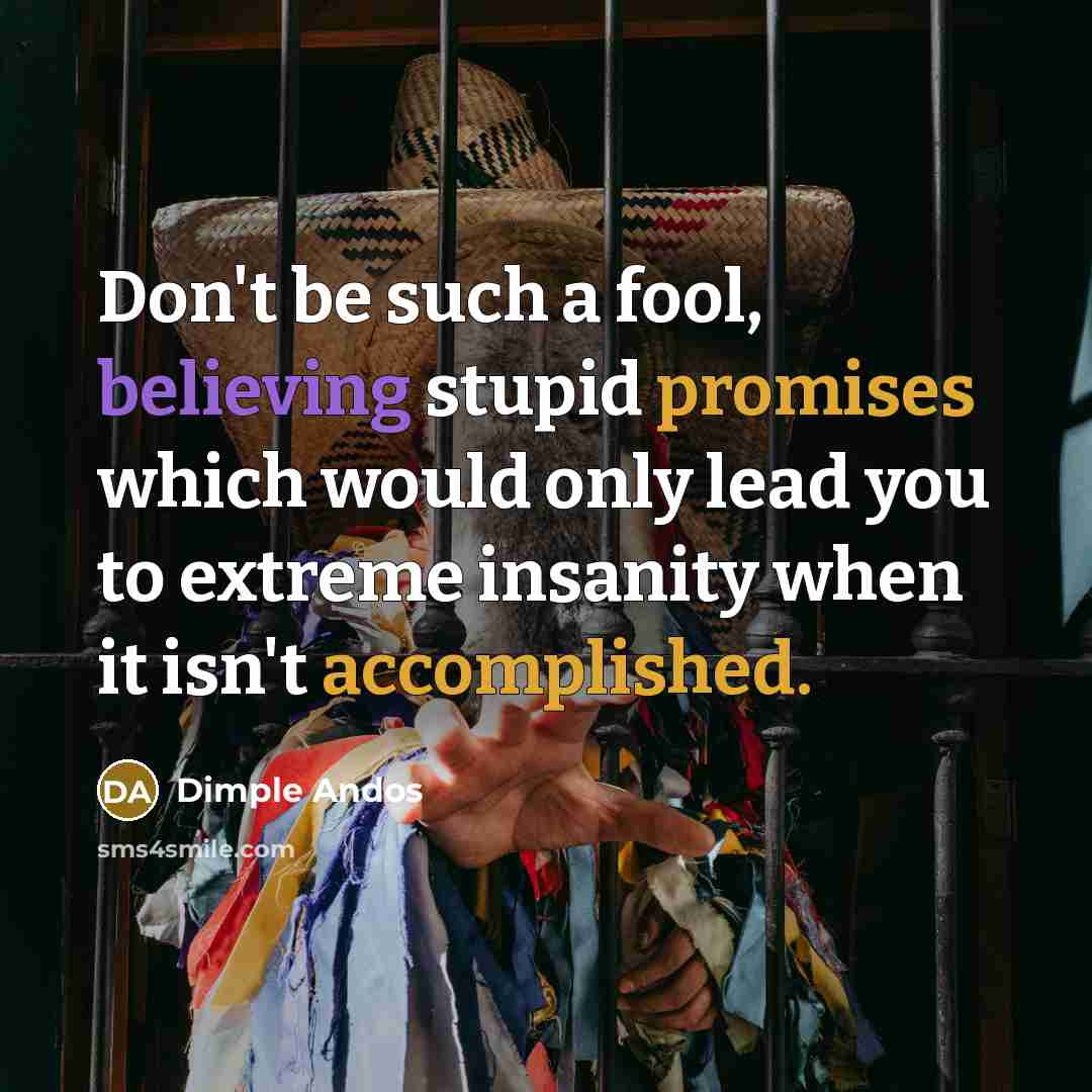 “Don't be such a fool, believing stupid promises which would only lead you to extreme insanity when it isn't accomplished.” quote by Dimple Andos