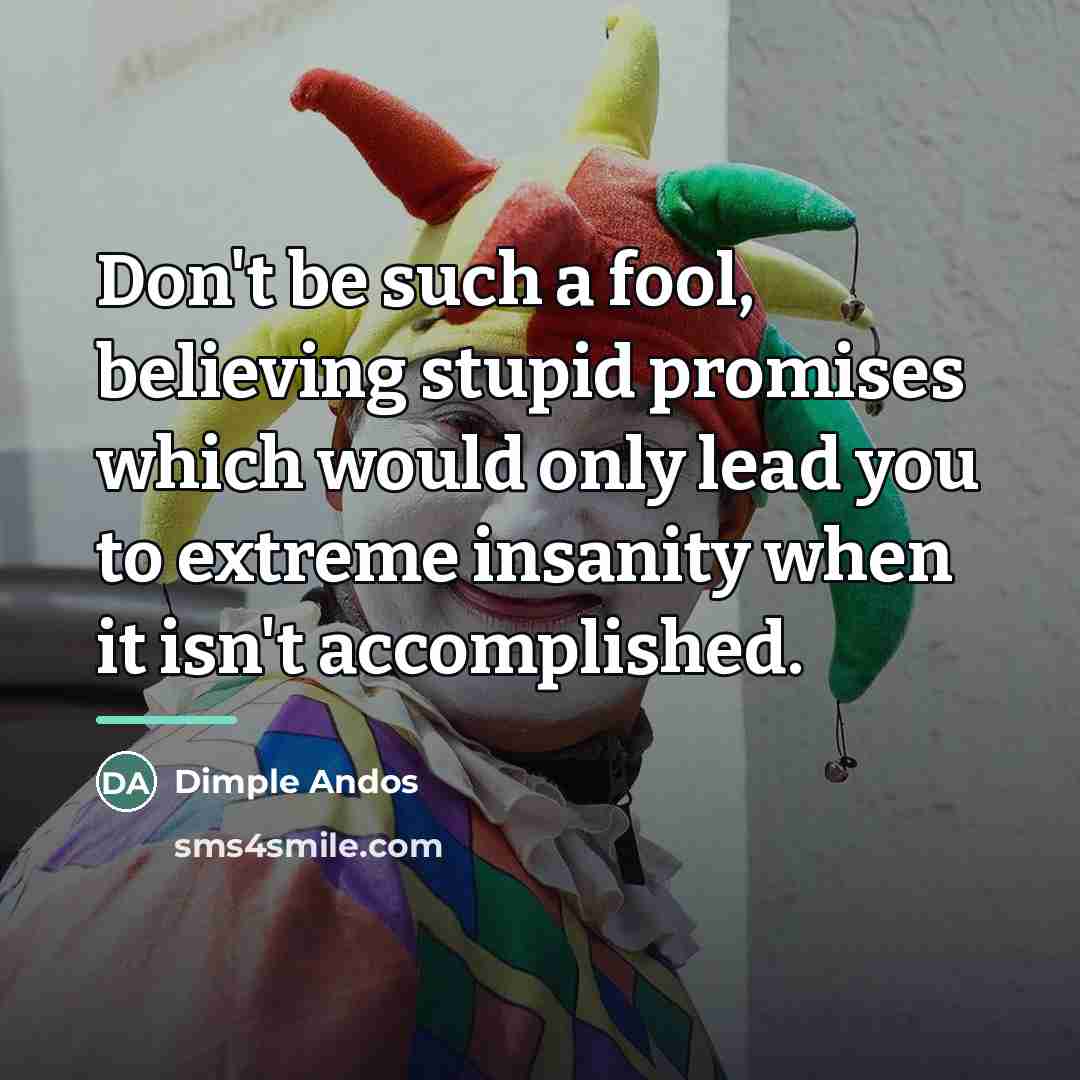 “Don't be such a fool, believing stupid promises which would…” quote by Dimple Andos
