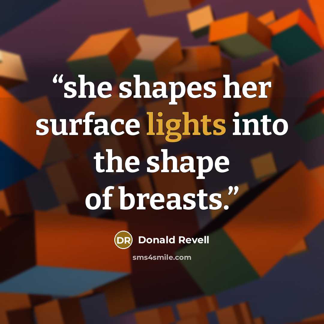 “she shapes her surface lights into the shape of breasts.” quote by Donald Revell