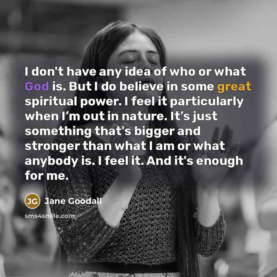 “I don't have any idea of who or what God…” quote by Jane Goodall
