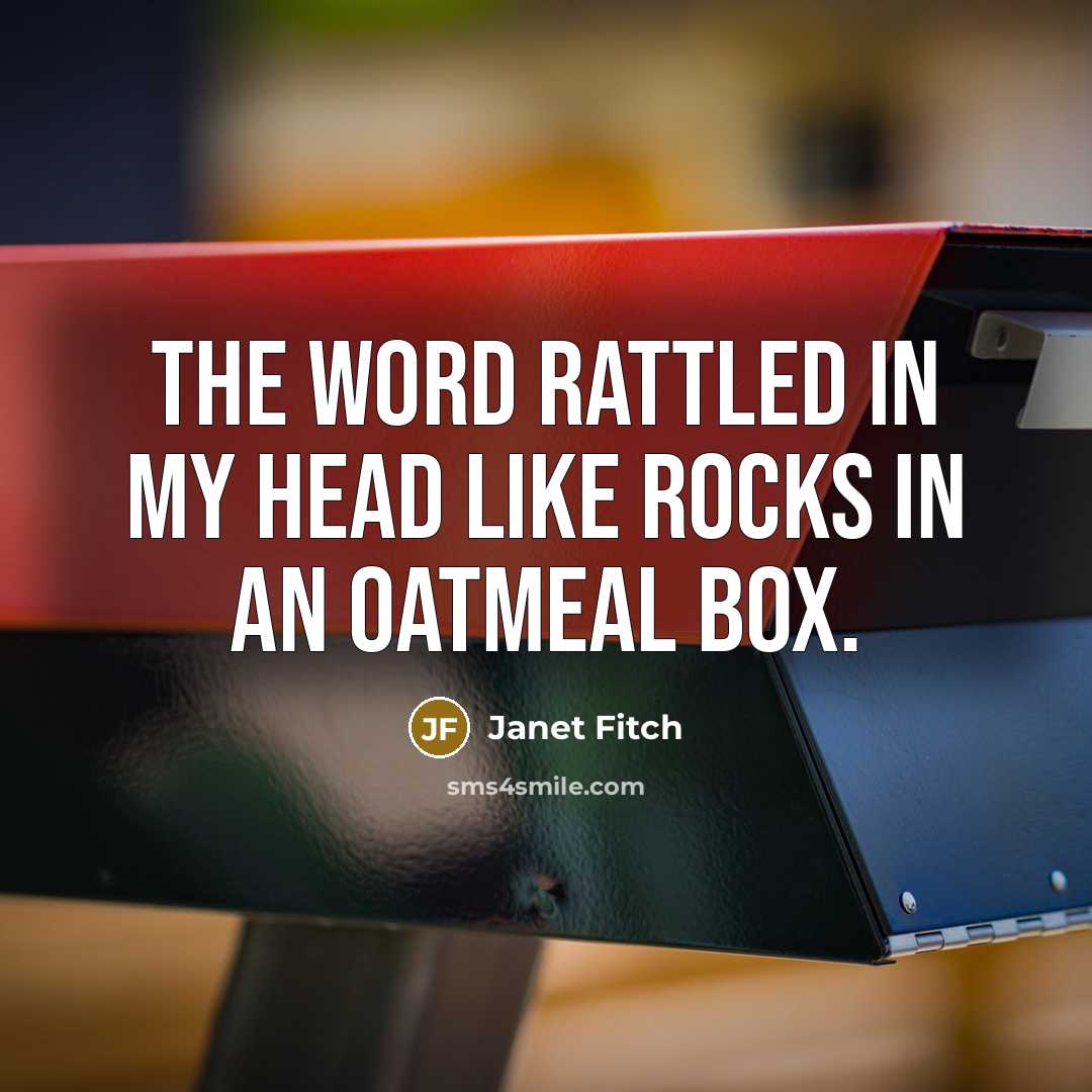 “The word rattled in my head like rocks in an…” quote by Janet Fitch