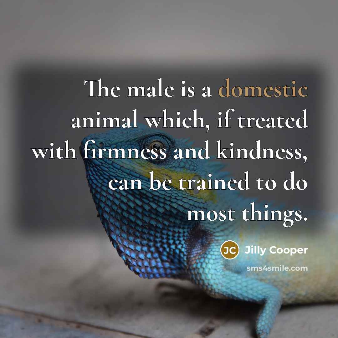 “The male is a domestic animal which, if treated with…” quote by Jilly Cooper