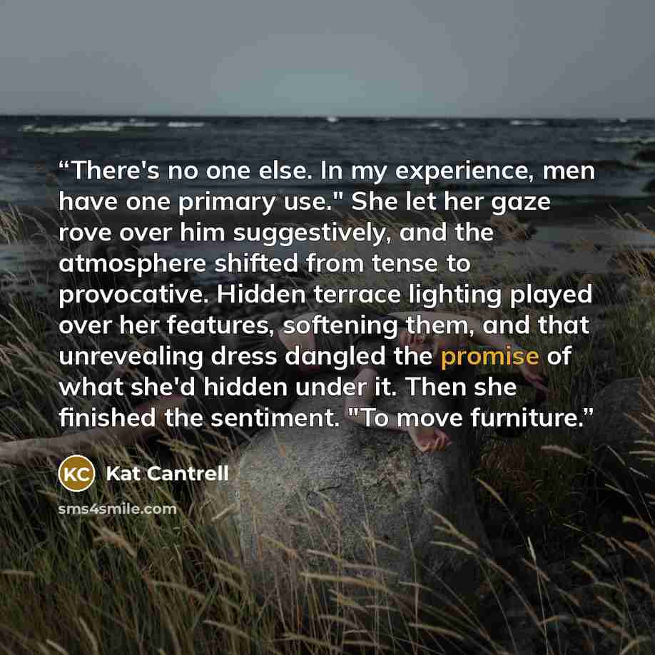 “There's no one else. In my experience, men have one primary use." She let her gaze rove over him suggestively, and the atmosphere shifted from tense to provocative. Hidden terrace lighting played over her features, softening them, and that unrevealing dress dangled the promise of what she'd hidden…” quote by Kat Cantrell