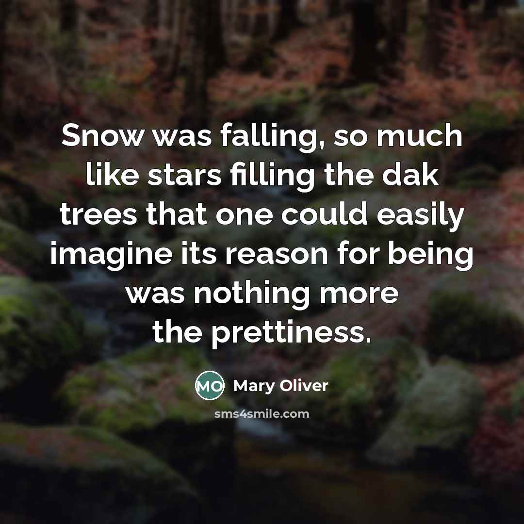 “Snow was falling, so much like stars filling the dak…” quote by Mary Oliver