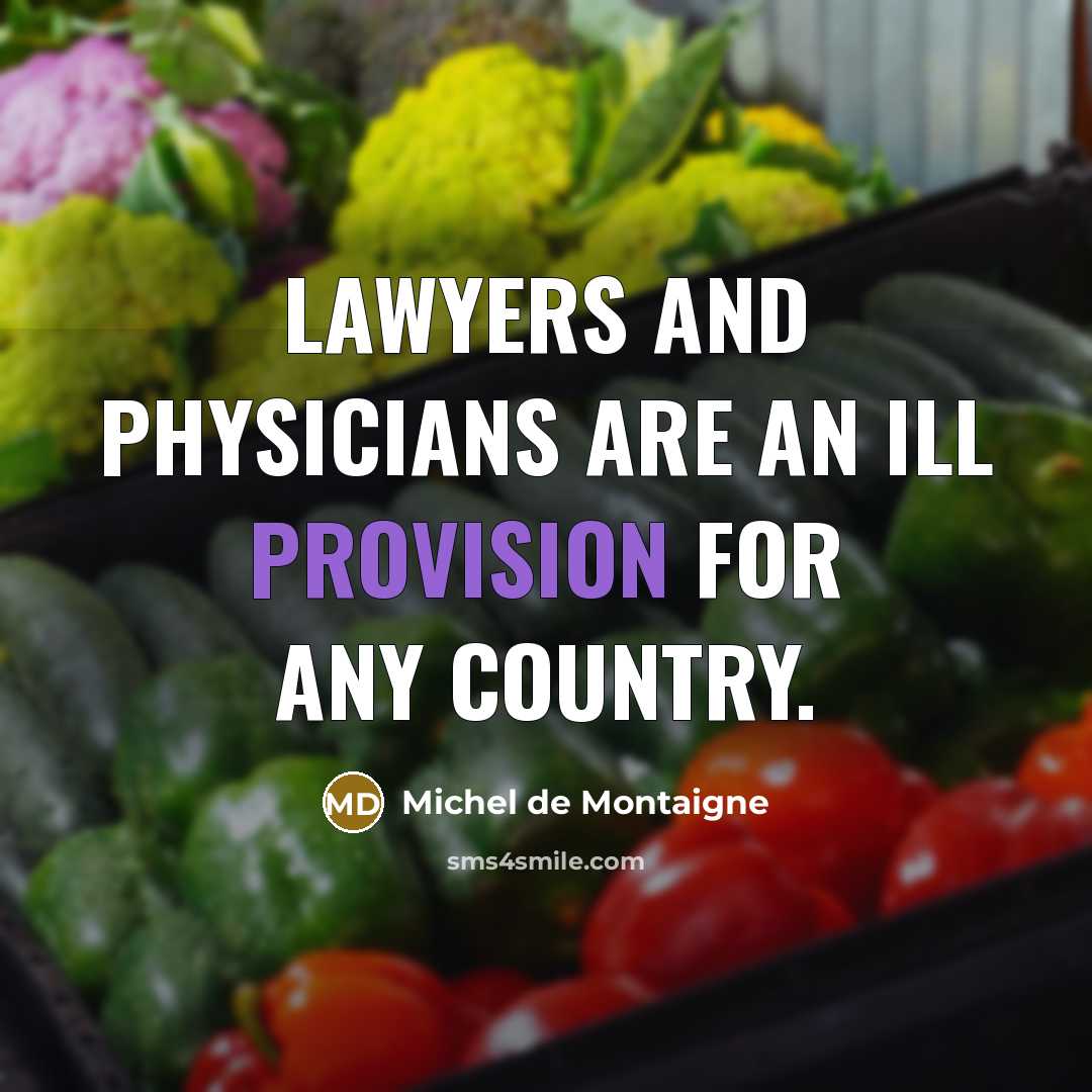 “Lawyers and physicians are an ill provision for any country.…” quote by Michel de Montaigne