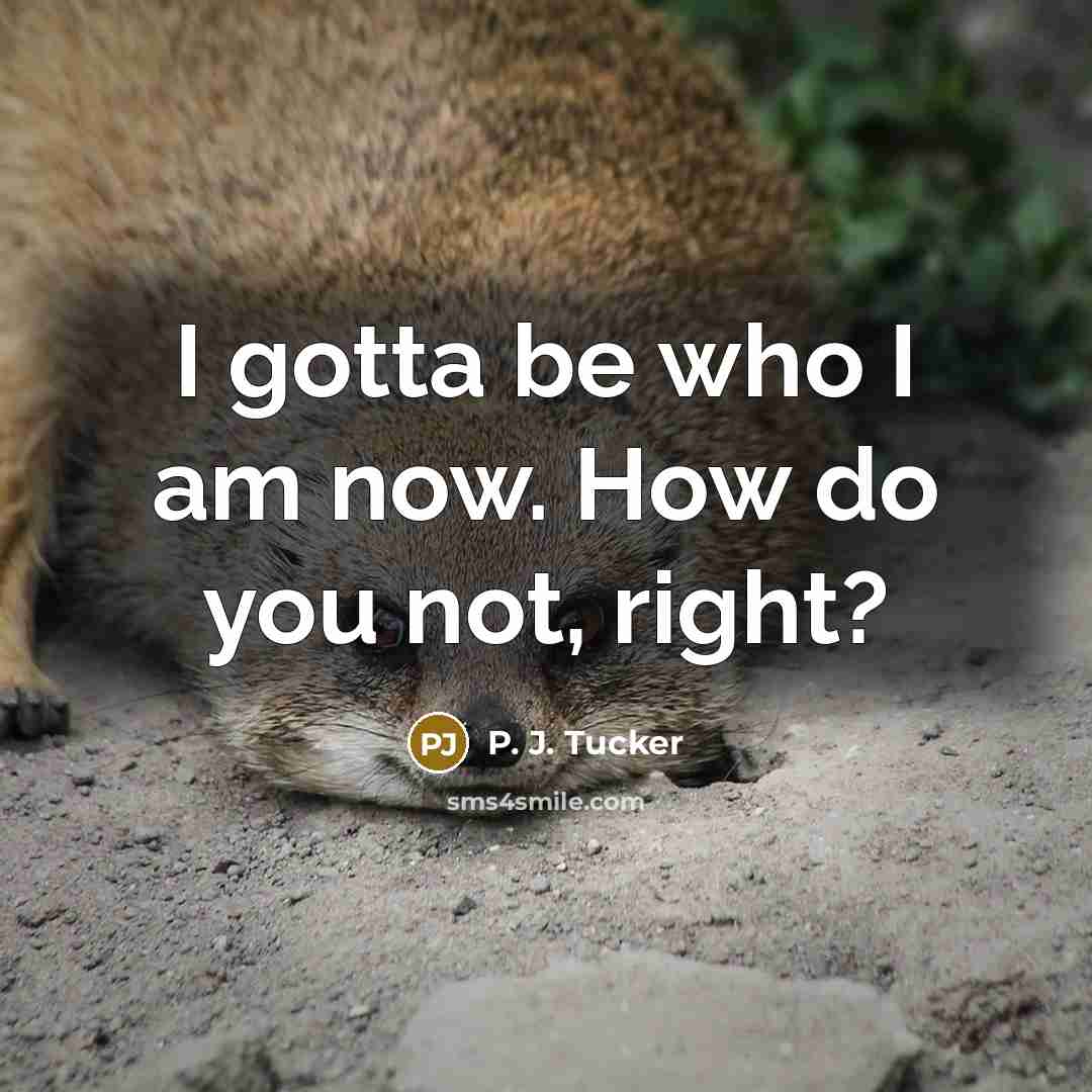 “I gotta be who I am now. How do you…” quote by P. J. Tucker