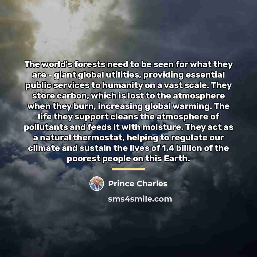 “The world's forests need to be seen for what they…” quote by Prince Charles