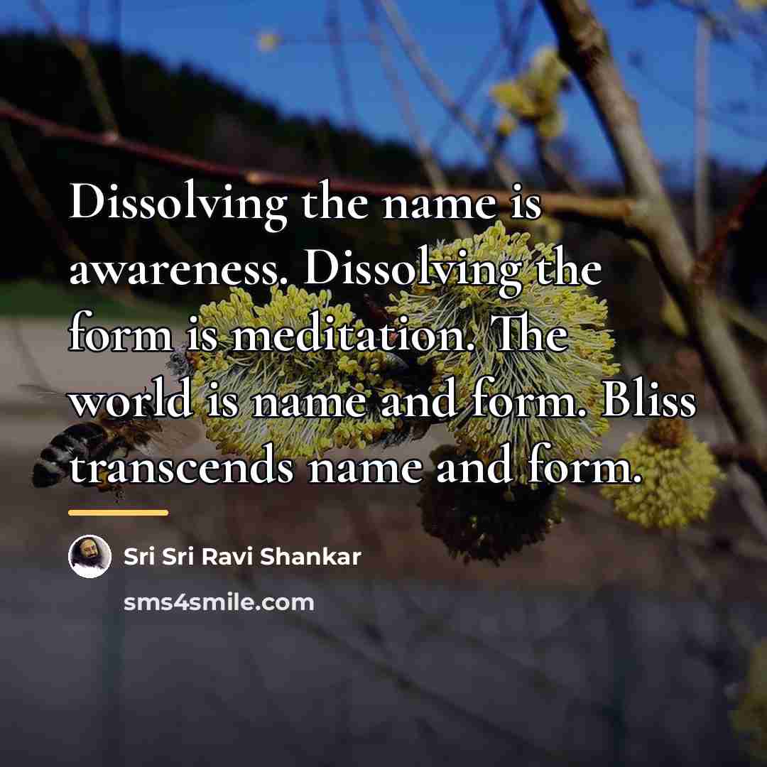 “Dissolving the name is awareness. Dissolving the form is meditation.…” quote by Sri Sri Ravi Shankar