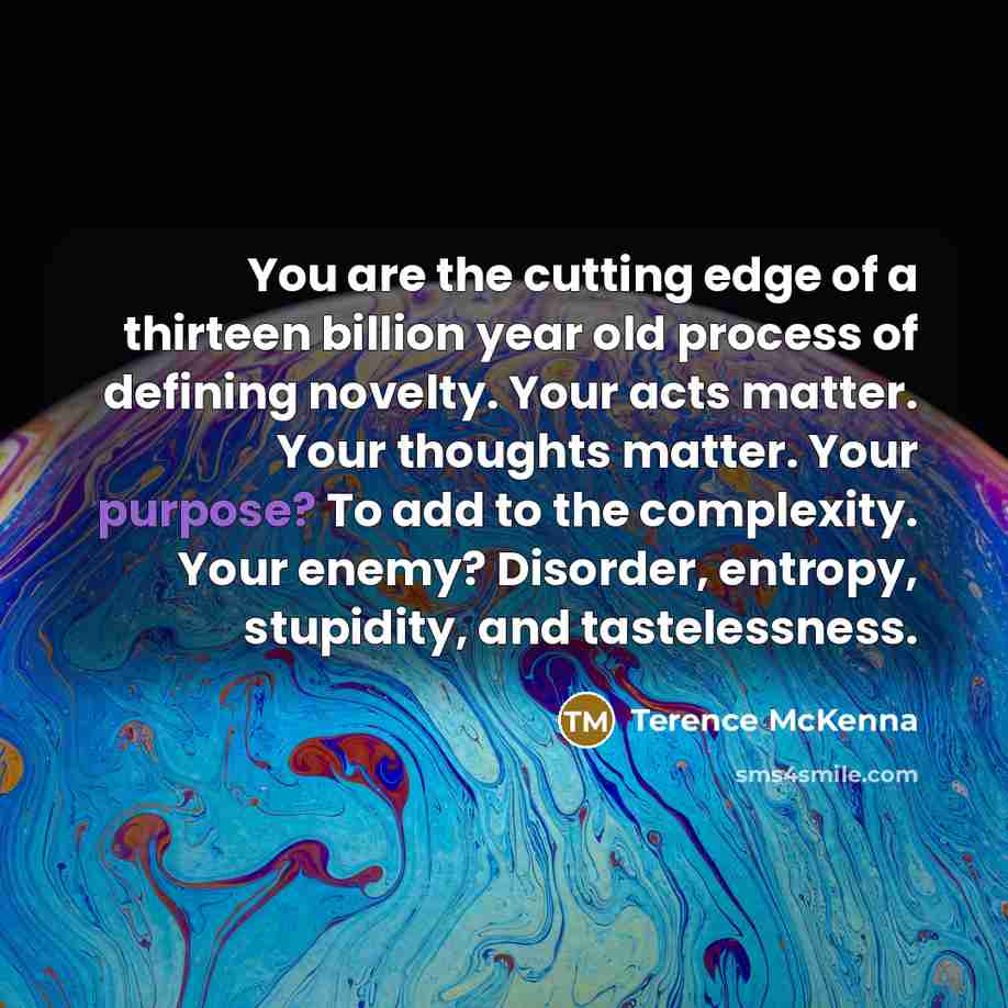 “You are the cutting edge of a thirteen billion year…” quote by Terence McKenna