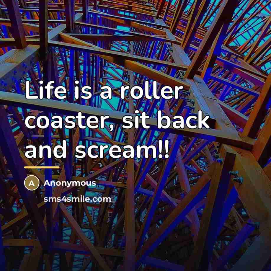 “Life is a roller coaster, sit back and scream!!…” quote by Anonymous