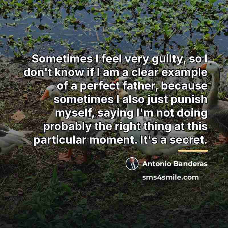 “Sometimes I feel very guilty, so I don't know if…” quote by Antonio Banderas