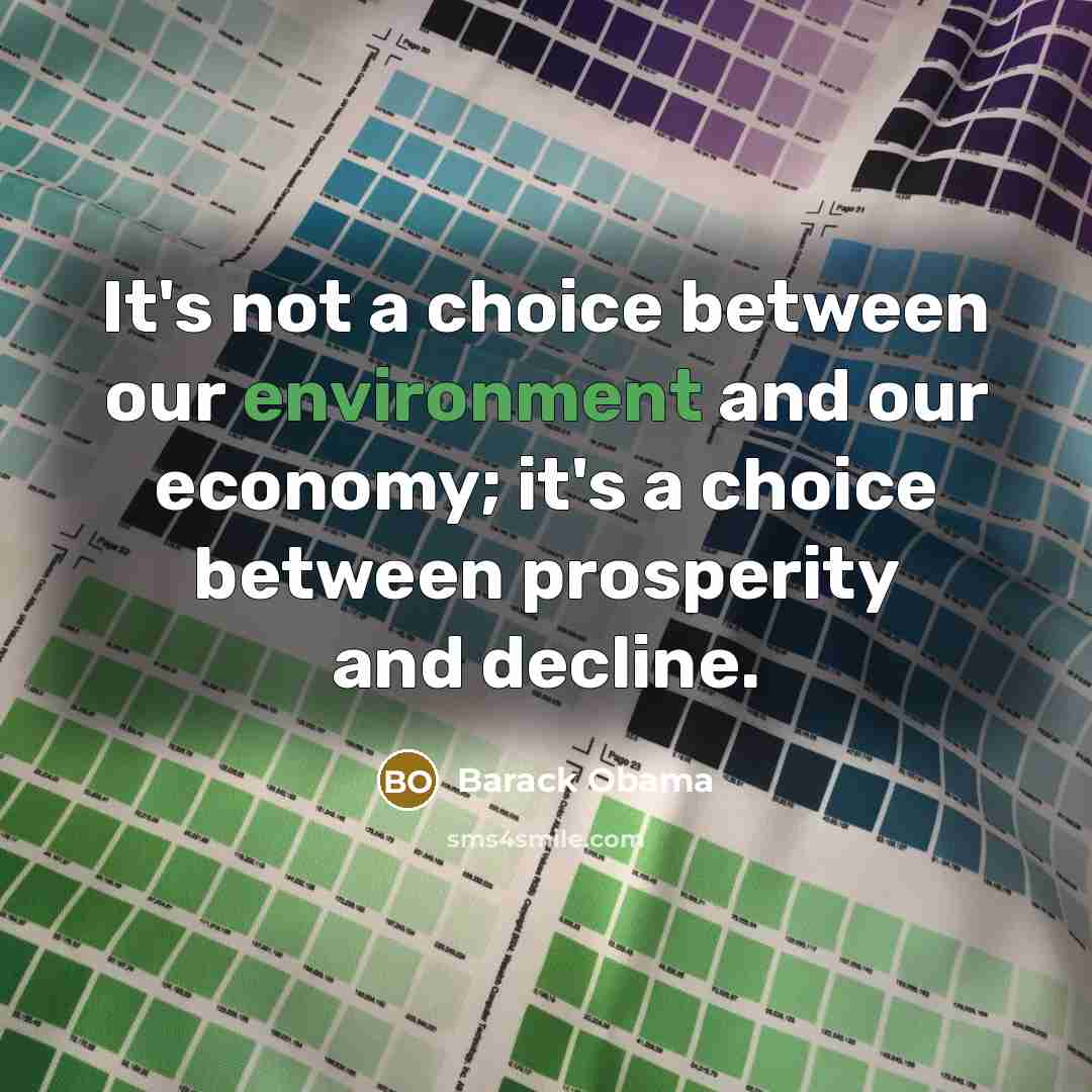 “It's not a choice between our environment and our economy;…” quote by Barack Obama